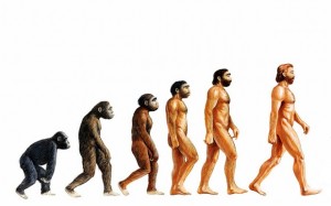You will evolve