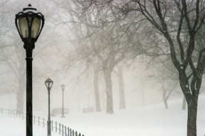 Snowflake in Winter